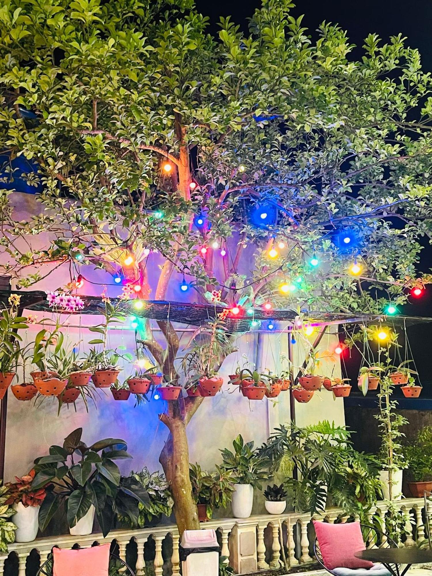 Lynh's Villa Dong Khe Sau Ngoại thất bức ảnh