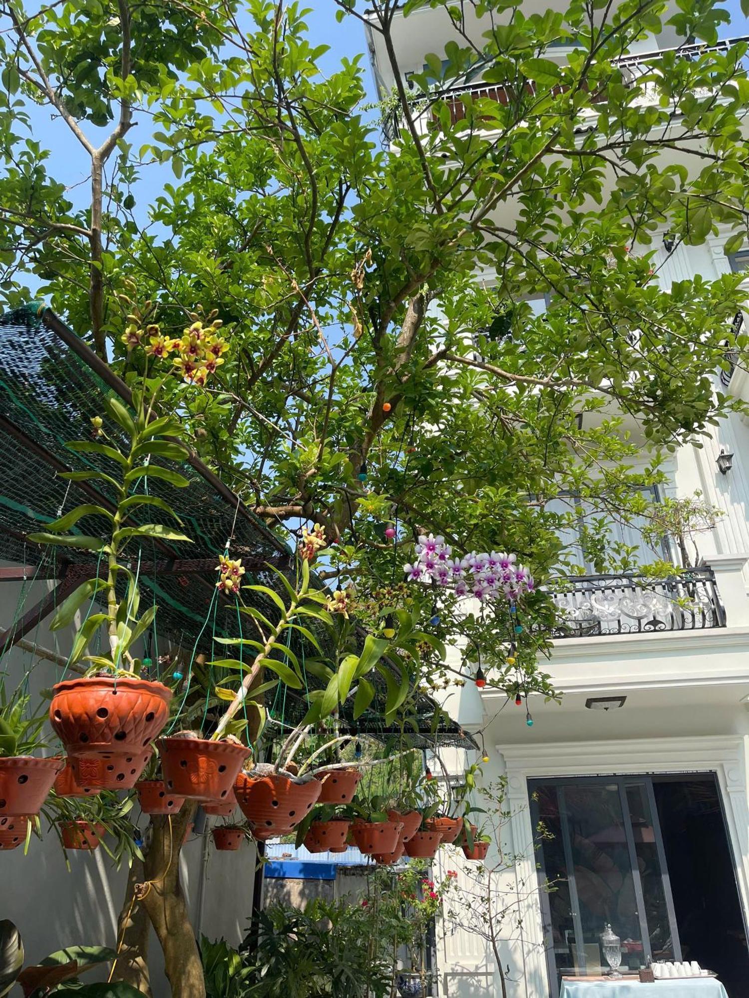 Lynh's Villa Dong Khe Sau Ngoại thất bức ảnh